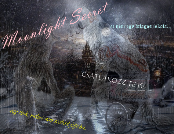 ~Moonlight Secret - egy titok, melyet nem szabad felszaktani ~
